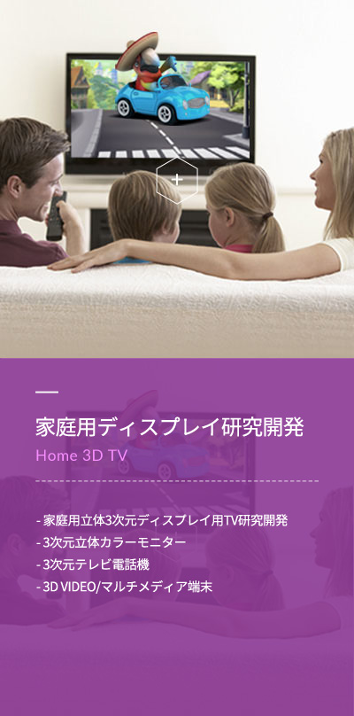 家庭用ディスプレイ研究開発(Home 3D TV) - 家庭用立体3次元ディスプレイ用TV研究開発 - 3次元立体カラーモニター -	3次元テレビ電話機 - 3D VIDEO/マルチメディア端末